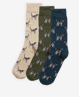 Barbour Pointer Dog Socks Gift Box FORESTMIST